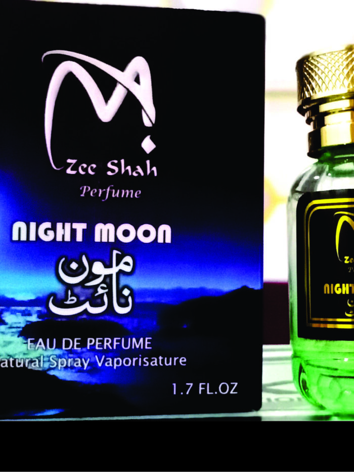 Night Moon: The Mystery of Twilight